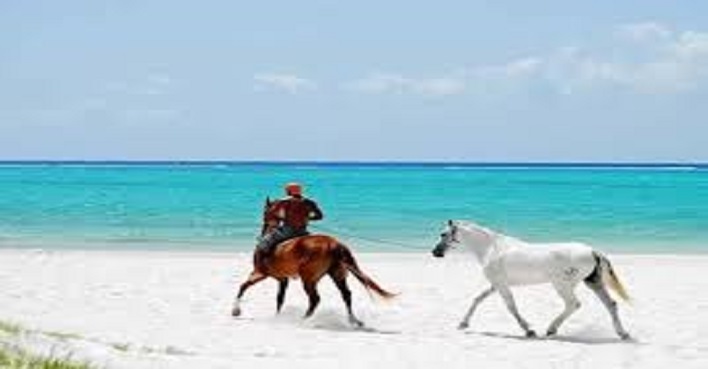 Excursion paseo caballo cuba Excursion paseo caballo cuba