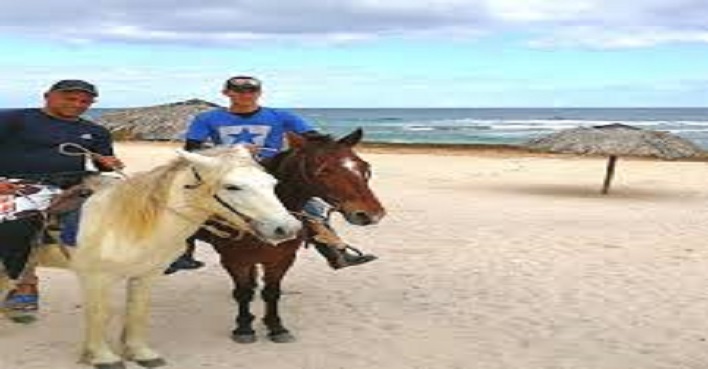 Excursion paseo caballo cuba4