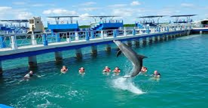 Unique seafari cuba